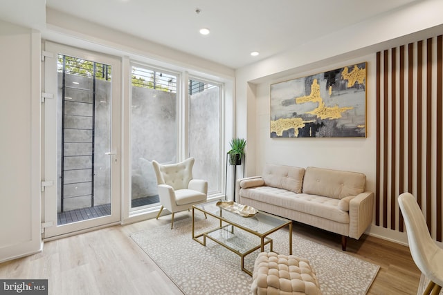 living room with light hardwood / wood-style flooring