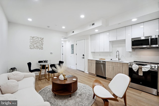 living room with light wood-type flooring, electric panel, and sink