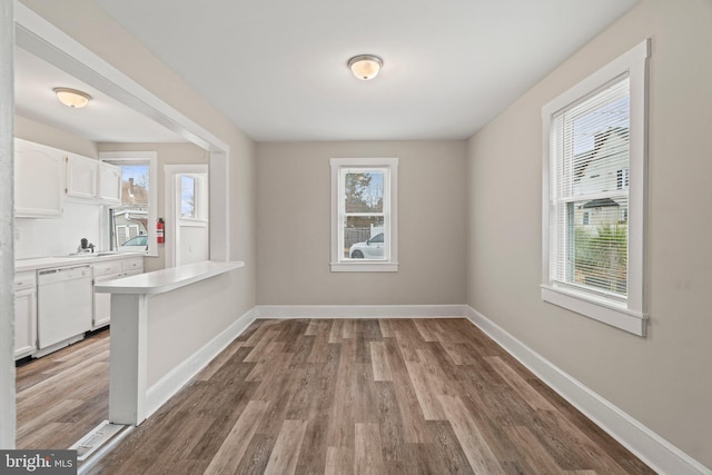 unfurnished dining area featuring hardwood / wood-style floors and sink