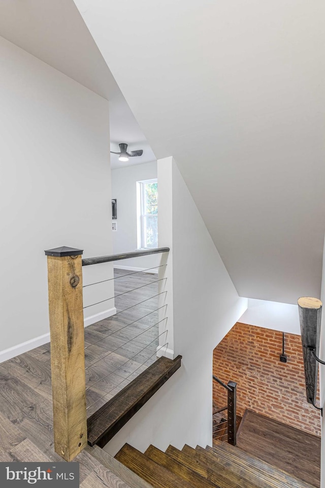 staircase featuring wood-type flooring