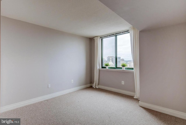 empty room featuring carpet floors