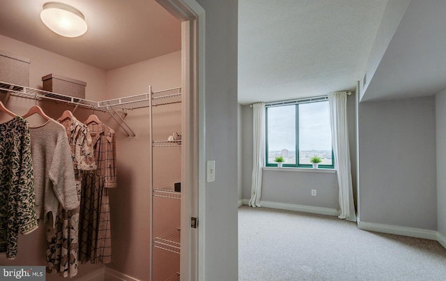 spacious closet with carpet floors