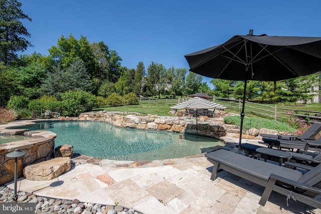 view of pool featuring a patio area