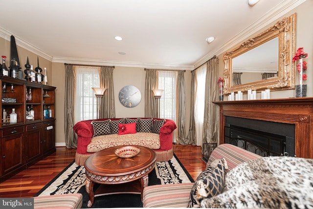 living room featuring ornamental molding and dark hardwood / wood-style floors