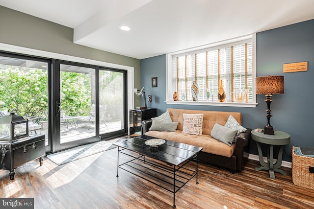 living room featuring wood-type flooring