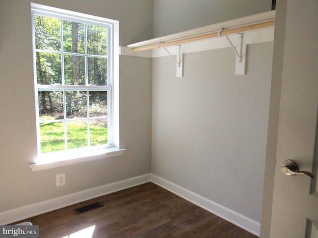 spacious closet featuring dark hardwood / wood-style flooring