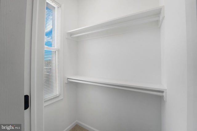 view of walk in closet