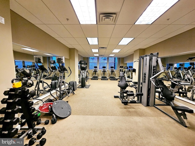 workout area featuring a paneled ceiling and carpet