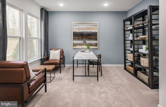 home office featuring light colored carpet