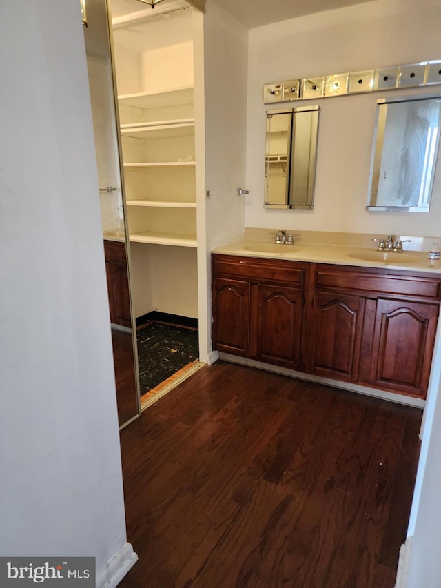 bathroom with wood-type flooring and vanity