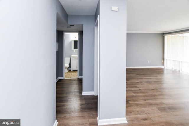 hallway with dark hardwood / wood-style floors