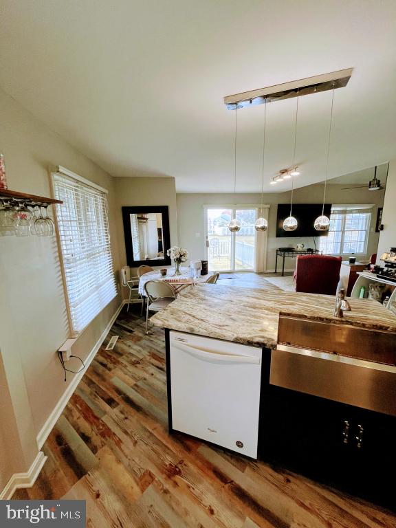 kitchen with dishwasher, a healthy amount of sunlight, decorative light fixtures, and hardwood / wood-style flooring