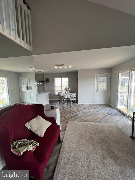 living room featuring hardwood / wood-style flooring, a towering ceiling, and track lighting