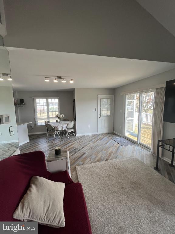 living room with lofted ceiling, wood-type flooring, and rail lighting