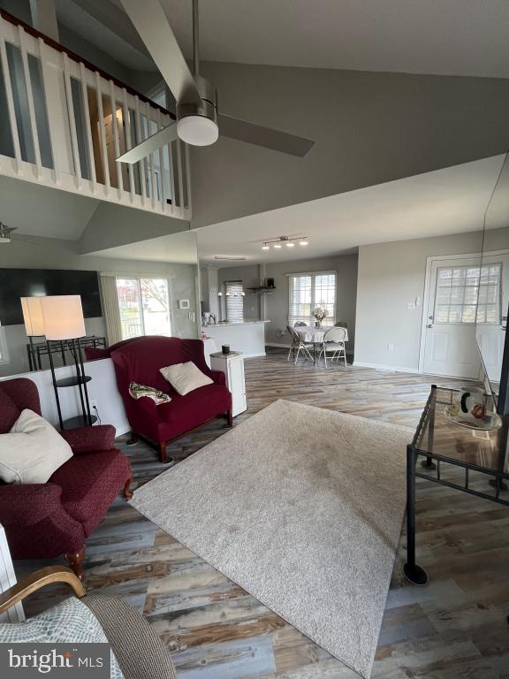 living room with hardwood / wood-style floors, plenty of natural light, and ceiling fan