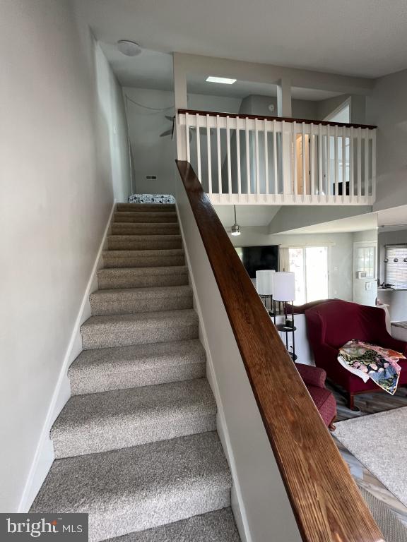 staircase featuring carpet