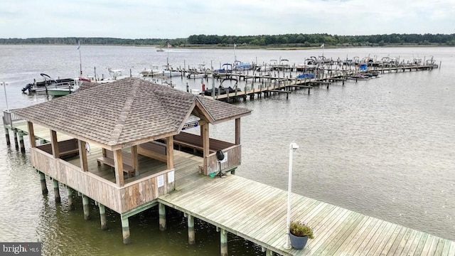 dock area featuring a water view