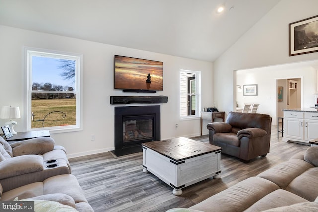 living room with dark hardwood / wood-style flooring and high vaulted ceiling