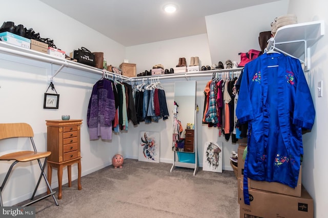 spacious closet featuring carpet floors