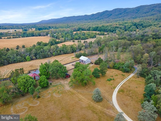 birds eye view of property featuring a mountain view