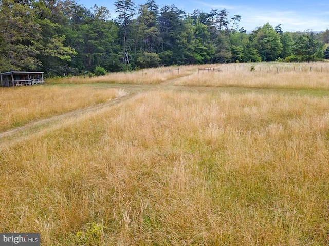 view of local wilderness with a rural view