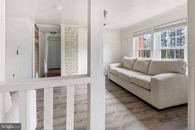 living room featuring wood-type flooring and crown molding