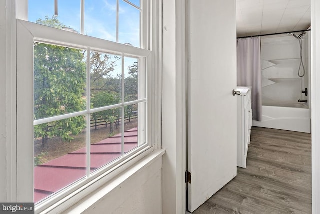 interior space featuring hardwood / wood-style floors and a healthy amount of sunlight