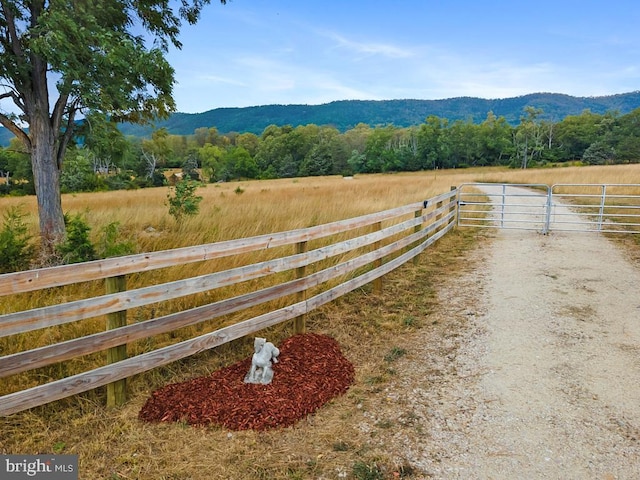 view of yard with a mountain view and a rural view