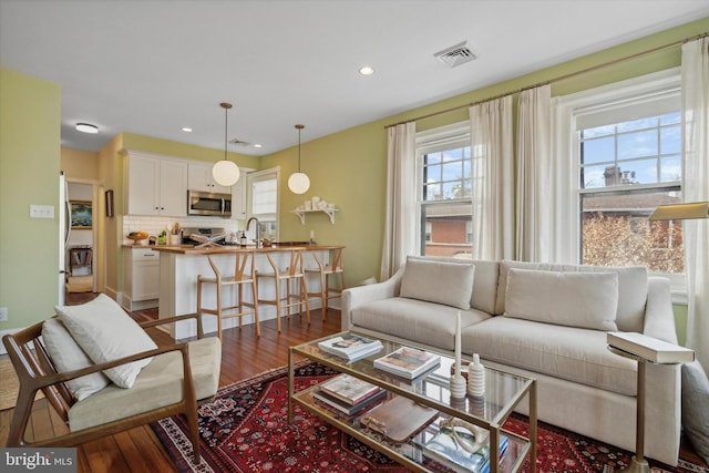 living room with dark wood-type flooring and sink