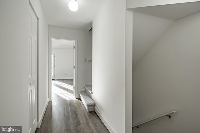 hall featuring dark hardwood / wood-style flooring