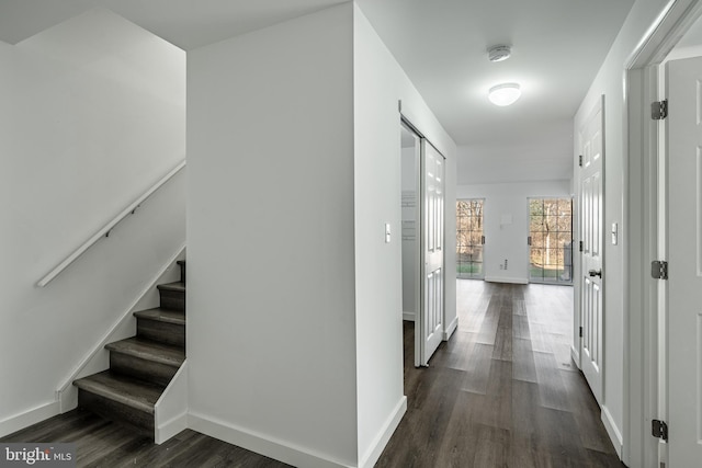 hallway with dark hardwood / wood-style floors