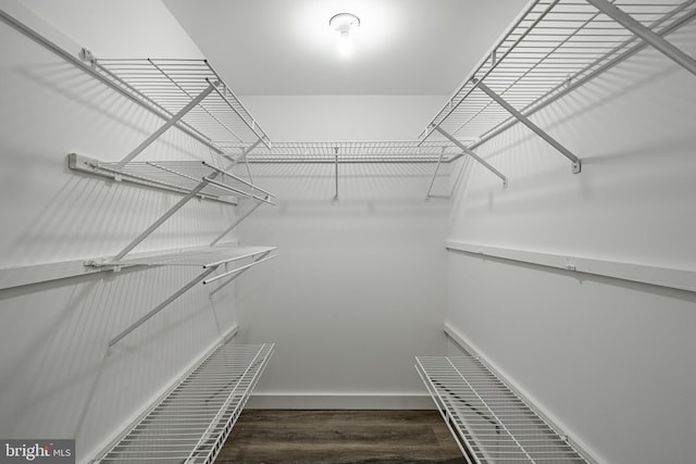 walk in closet with dark hardwood / wood-style floors