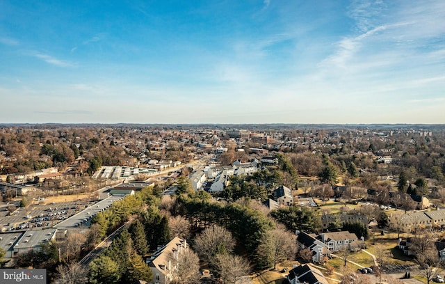 bird's eye view