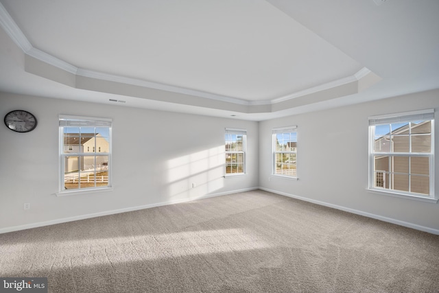 unfurnished room featuring carpet flooring, a tray ceiling, and a healthy amount of sunlight