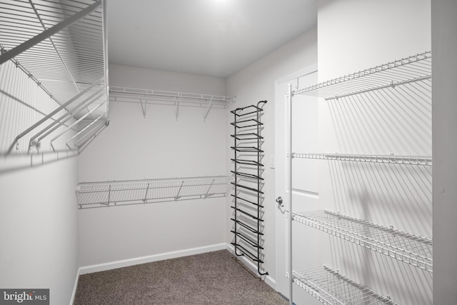 walk in closet with carpet