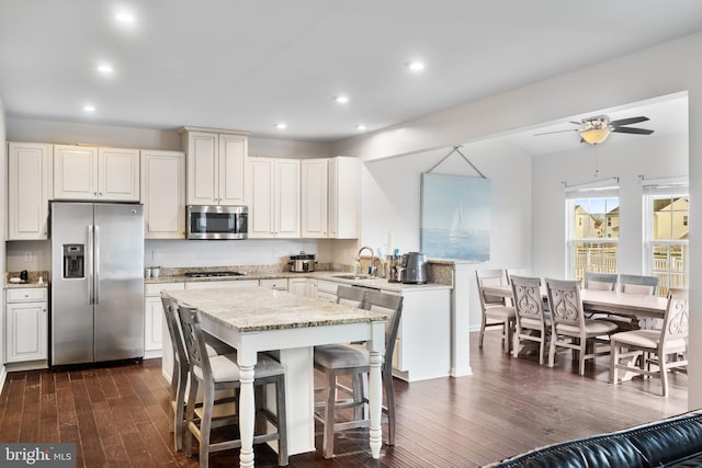 kitchen with ceiling fan, sink, stainless steel appliances, and dark hardwood / wood-style floors