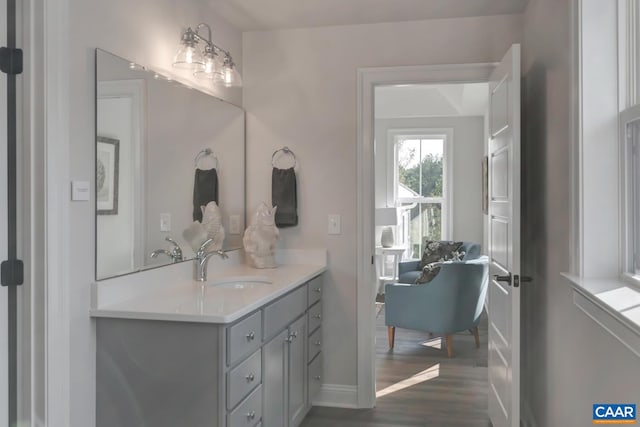 bathroom with hardwood / wood-style floors and vanity