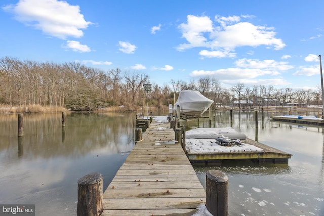 dock area with a water view