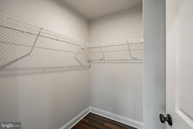 walk in closet featuring dark wood-type flooring