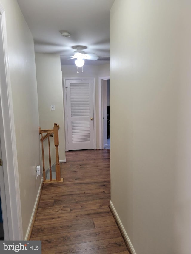 hallway featuring dark hardwood / wood-style floors