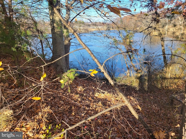 view of local wilderness featuring a water view