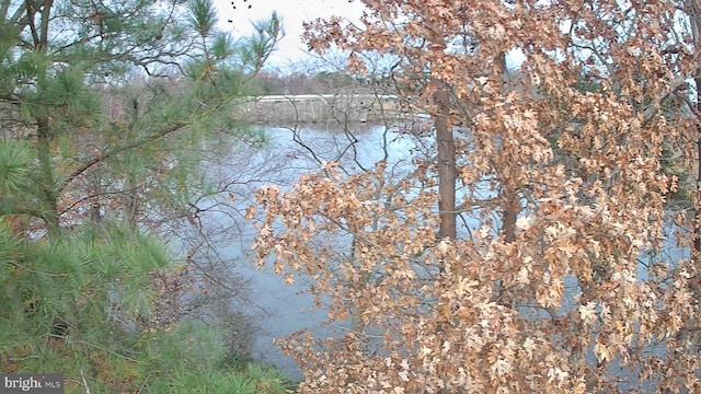 view of local wilderness featuring a water view