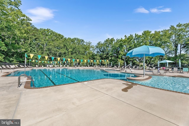 view of pool with a patio