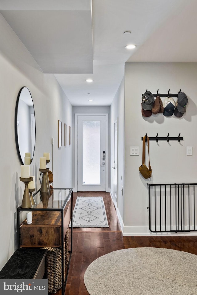 entryway featuring dark wood-type flooring