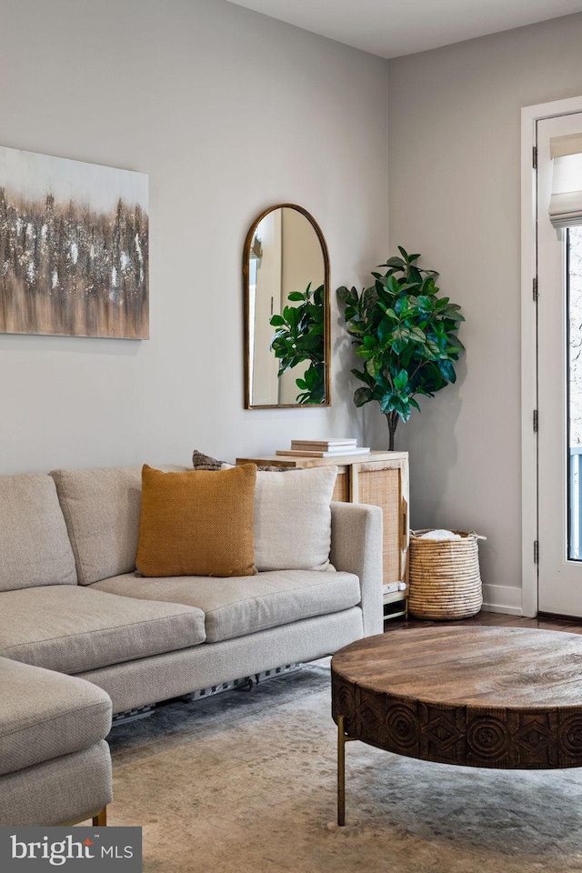 living room featuring a wealth of natural light