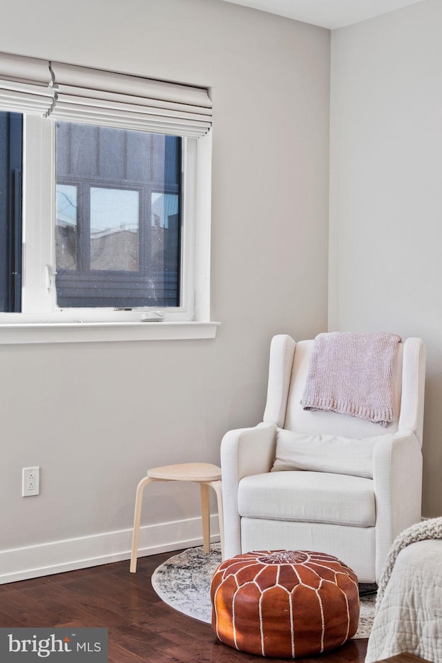 sitting room featuring dark wood-type flooring