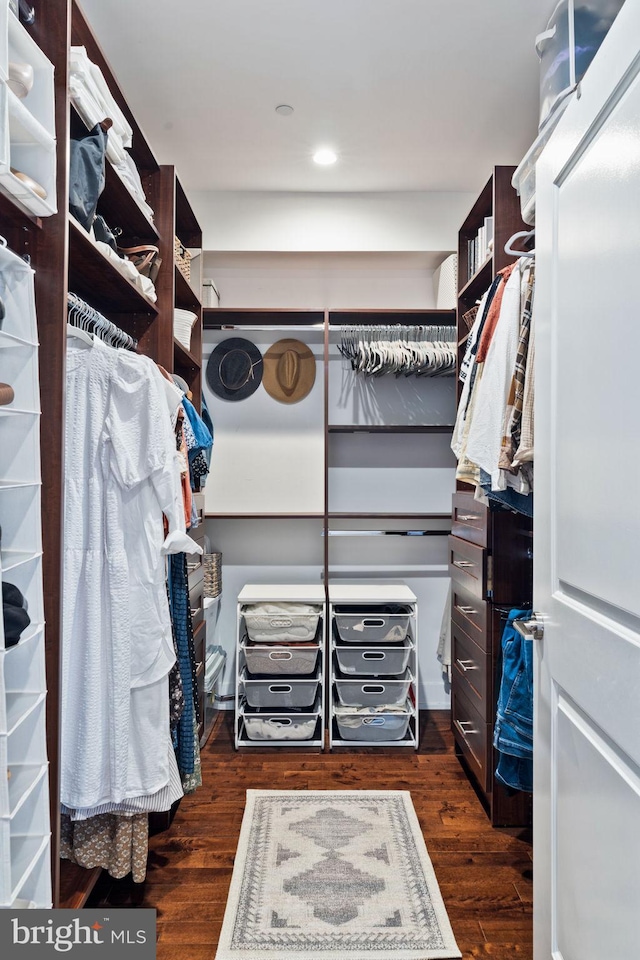 walk in closet with dark hardwood / wood-style flooring