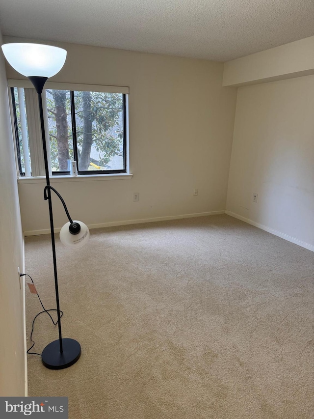 empty room with carpet flooring and a textured ceiling