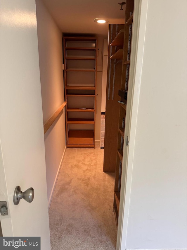 spacious closet featuring light carpet