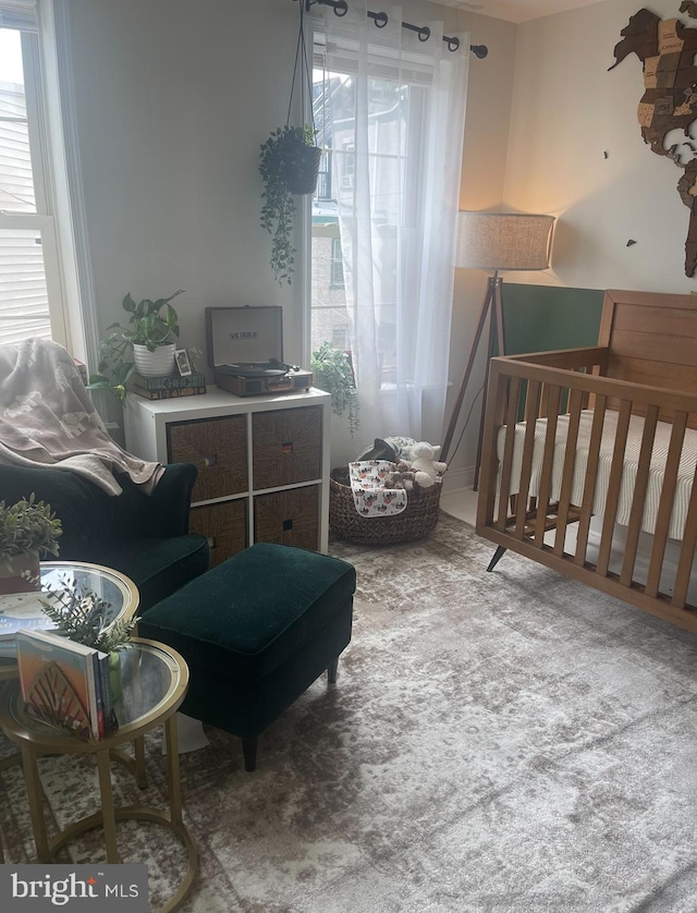 bedroom featuring carpet flooring